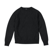 Load image into Gallery viewer, SIMWOOD 2019 Autumn Winter New cable-knit sweater men raglan design core yarn anti-pilling knitwear high quality plus size 732
